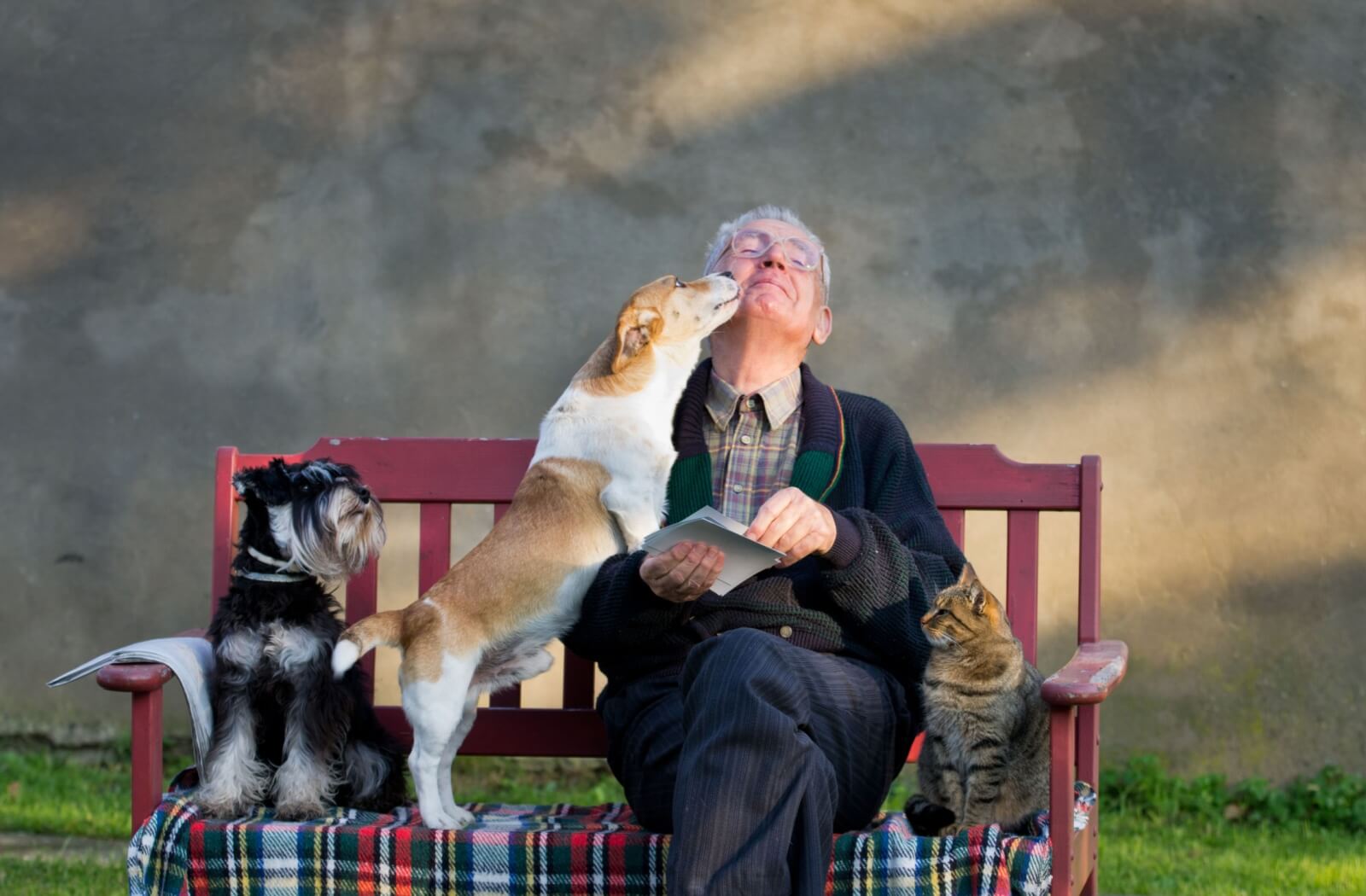 Older adult sitting on a bench with a cat and two dogs, as one dog affectionately licks their face.